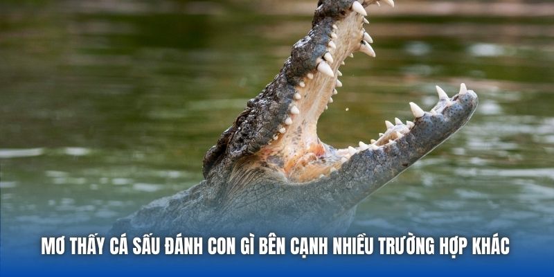 Mơ thấy cá sấu đánh con gì bên cạnh nhiều trường hợp khác