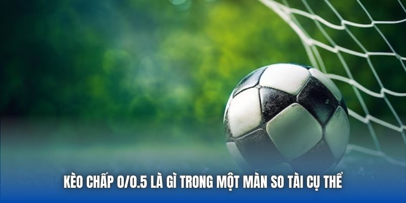 Kèo chấp 0/0.5 là gì trong một màn so tài cụ thể 