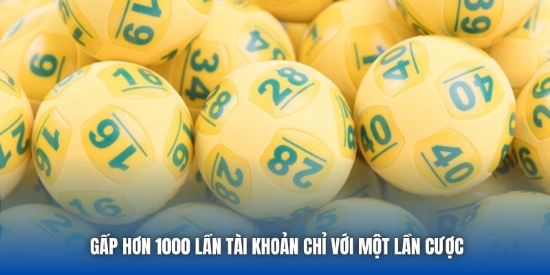 Gấp hơn 1000 lần tài khoản chỉ với một lần cược